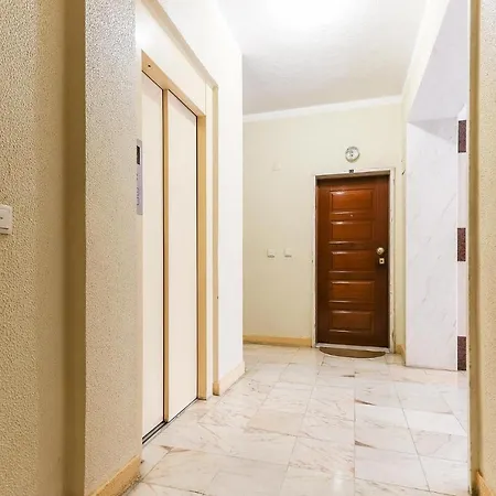 Apartament Downtown Typical By Homing *